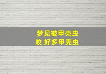 梦见被甲壳虫咬 好多甲壳虫